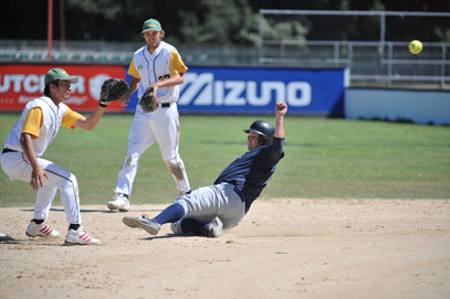 fastpitch-large.jpg