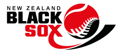 BSX-166 BSX-166