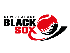 BSX BSX