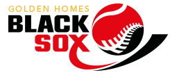 BSX-166 BSX-166